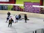 Photo hockey match Besançon - Briançon II le 05/02/2011