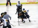Photo hockey match Besançon - Champigny-sur-Marne le 21/02/2015