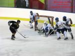 Photo hockey match Besançon - Champigny-sur-Marne le 21/02/2015