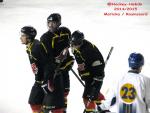Photo hockey match Besançon - Champigny-sur-Marne le 21/02/2015