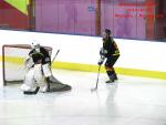 Photo hockey match Besançon - Champigny-sur-Marne le 21/02/2015
