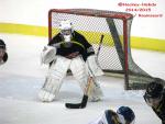 Photo hockey match Besançon - Champigny-sur-Marne le 21/02/2015