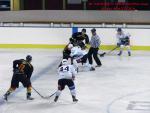 Photo hockey match Besançon - Colmar le 25/01/2014