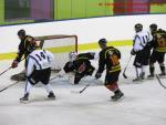 Photo hockey match Besançon - Dammarie-les-Lys le 21/12/2013