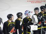 Photo hockey match Besançon - Dammarie-les-Lys le 21/12/2013