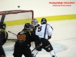 Photo hockey match Besançon - Dammarie-les-Lys le 10/01/2015