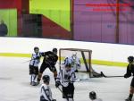 Photo hockey match Besançon - Dammarie-les-Lys le 10/01/2015