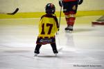 Photo hockey match Besançon - HCMP II le 08/02/2025