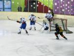 Photo hockey match Besançon - Luxembourg le 16/02/2013
