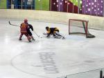 Photo hockey match Besançon - Morzine-Avoriaz II le 08/01/2011