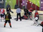 Photo hockey match Besançon - Valenciennes le 22/12/2012