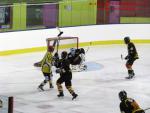 Photo hockey match Besançon - Viry-Châtillon le 18/01/2014