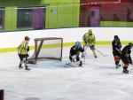Photo hockey match Besançon - Viry-Châtillon le 18/01/2014