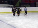 Photo hockey match Besançon - Viry-Châtillon le 18/01/2014