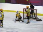 Photo hockey match Besançon - Viry-Châtillon le 18/01/2014