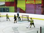 Photo hockey match Besançon - Viry-Châtillon le 18/01/2014