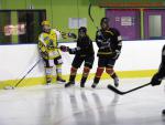 Photo hockey match Besançon - Viry-Châtillon le 18/01/2014
