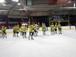 Photo hockey match Besançon - Viry-Châtillon le 18/01/2014