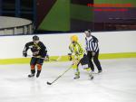 Photo hockey match Besançon - Viry-Châtillon le 22/11/2014