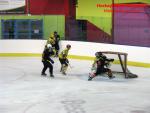 Photo hockey match Besançon - Viry-Châtillon le 22/11/2014