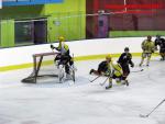 Photo hockey match Besançon - Viry-Châtillon le 22/11/2014