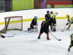 Photo hockey match Besançon - Viry-Châtillon le 22/11/2014