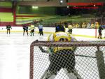 Photo hockey match Besançon - Viry-Châtillon le 22/11/2014