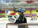 Photo hockey match Besançon - Viry-Châtillon le 22/11/2014