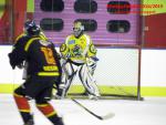 Photo hockey match Besançon - Viry-Châtillon le 22/11/2014