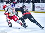 Photo hockey match Bordeaux - Grenoble  le 14/04/2026