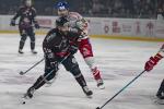 Photo hockey match Bordeaux - Grenoble  le 14/04/2026