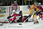 Photo hockey match Briançon  - Dijon  le 18/11/2012