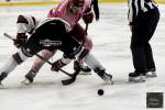 Photo hockey match Cergy-Pontoise - Briançon  le 10/10/2023