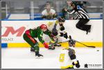 Photo hockey match Cergy-Pontoise - Chambéry le 11/03/2017