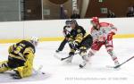 Photo hockey match Chambéry - Grenoble  le 02/11/2022