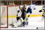 Photo hockey match Chambéry - Paris (FV) le 25/02/2017