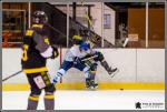 Photo hockey match Chambéry - Paris (FV) le 25/02/2017