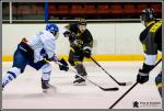 Photo hockey match Chambéry - Paris (FV) le 25/02/2017