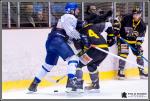 Photo hockey match Chambéry - Paris (FV) le 25/02/2017