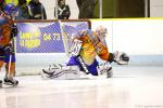 Photo hockey match Clermont-Ferrand - Asnières le 15/01/2011
