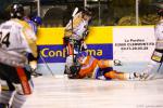 Photo hockey match Clermont-Ferrand - Chambéry le 29/01/2011