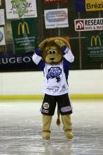 Photo hockey match Compiègne - Clermont-Ferrand le 03/12/2011