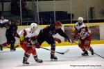 Photo hockey match Dijon  - Asnières le 01/02/2020