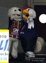 Photo hockey match Dijon  - Briançon  le 23/01/2016