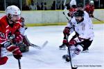 Photo hockey match Dijon  - Briançon II le 03/02/2024