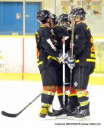 Photo hockey match Dijon II - Besançon le 11/01/2014
