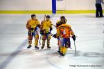 Photo hockey match Dijon II - Châlons-en-Champagne le 03/12/2016