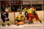 Photo hockey match Dunkerque - Orléans le 12/02/2011