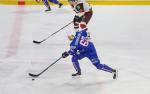 Photo hockey match France - Lettonie le 11/11/2017