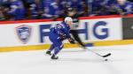 Photo hockey match France - Lettonie le 11/11/2017